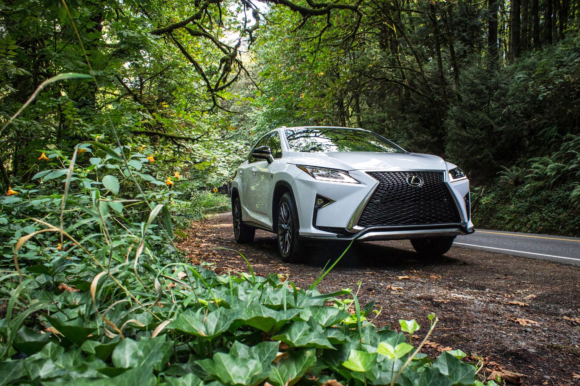 If the previous gen was a pacifist, then the new RX is here for the attack. The entire Lexus lineup has received extensive overhauling, all based around their new “spindle-grille” fascia and incredibly angular accenting.