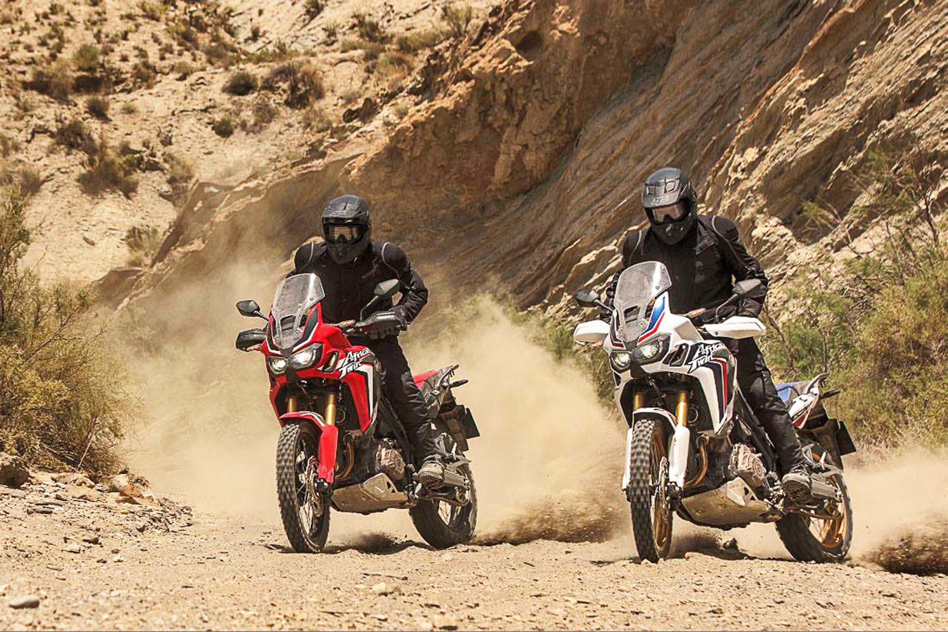 Honda’s ultra-serious adventure bike comes with either a manual or dual-clutch automatic transmission and a 998cc SOHC parallel twin engine. The 9.1 inches of front suspension and travel and 8.7 inches in the back, plus aluminum skid plate, compact battery/engine/oil placement and rubber-mounted handlebar mean the Africa Twin will be a heavy-duty off-road brawler.