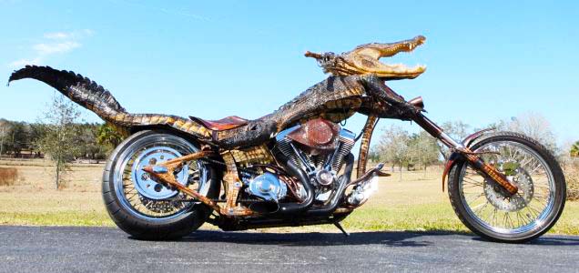 Believe it or not, that's a real alligator carcass up there, dragged out of the Florida swamp, and with a speedometer wedged into the back of its skull. No joke. The bike was created as a prize in a fundraiser for a group that rescues animals. Um, except for this alligator. It was not rescued. In the end, I wonder, would this even be legal to ride?
