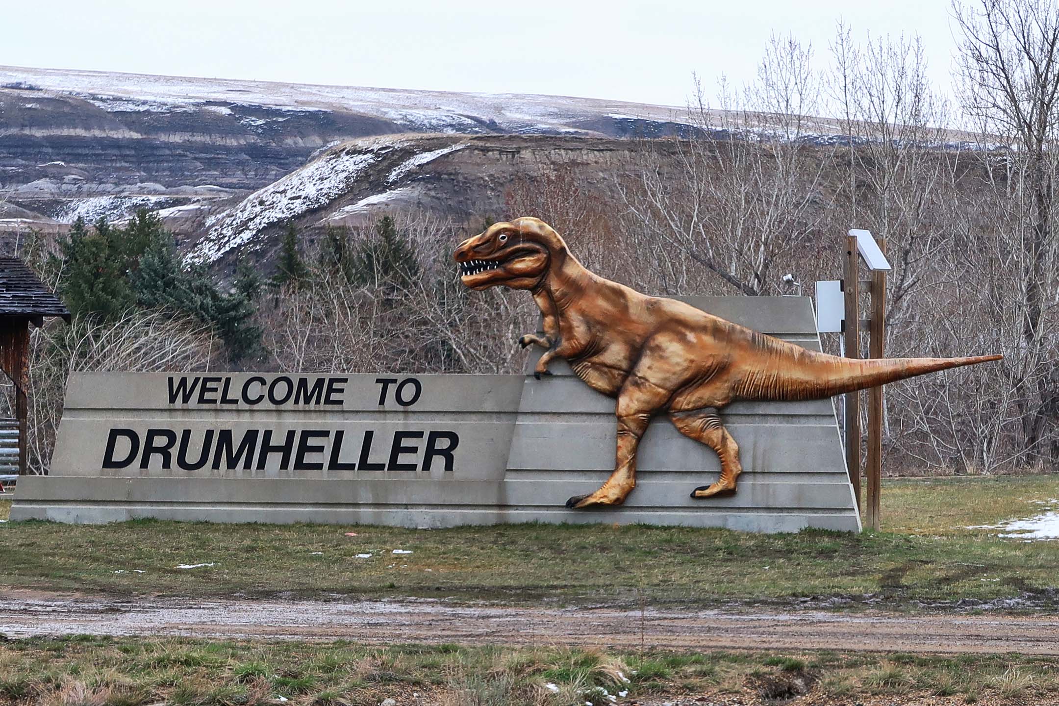 Drumheller is famous for its dinosaurs
